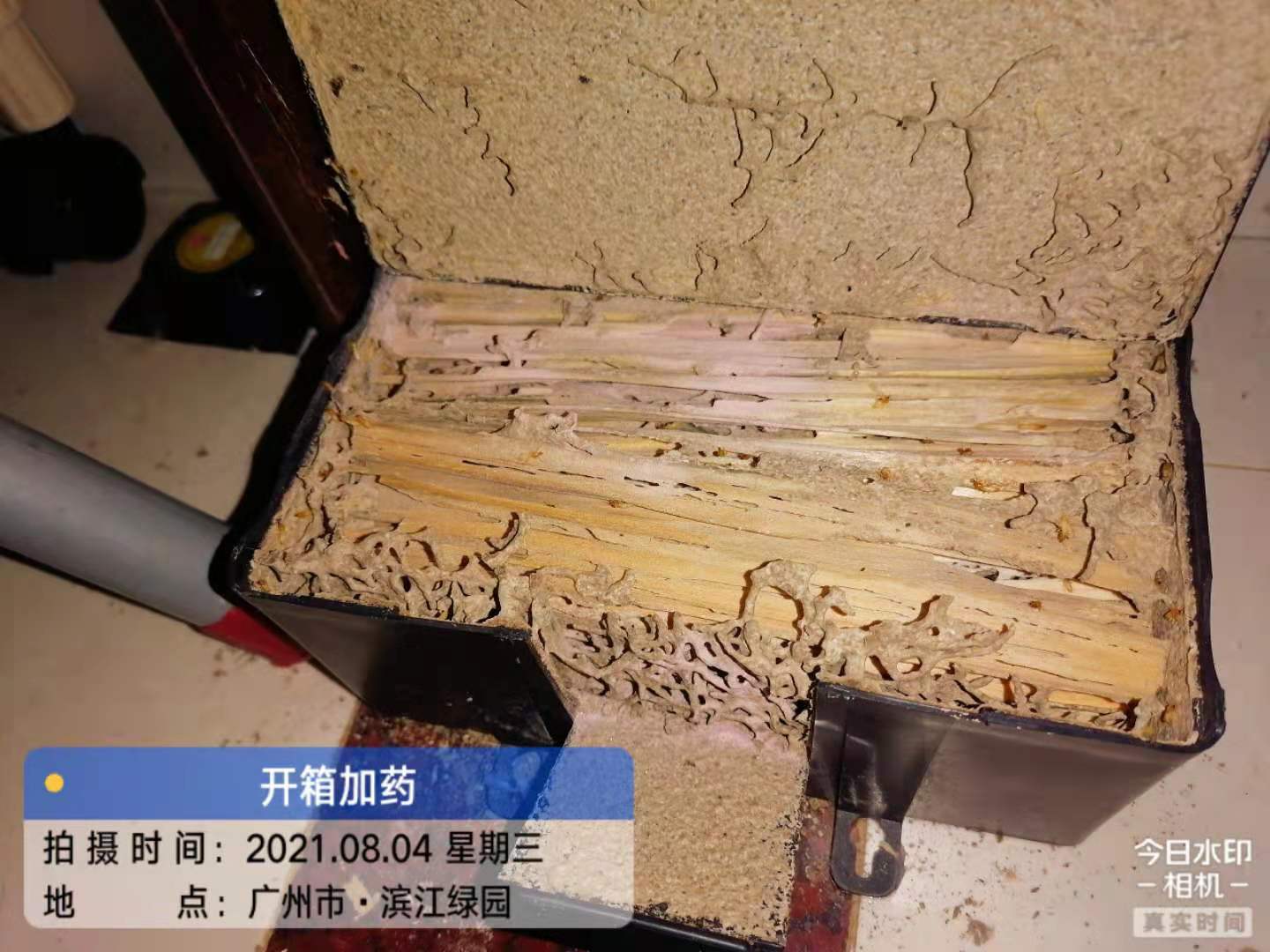 廣（guǎng）州市番禺區（qū）大石街濱江綠園滅白（bái）蟻（yǐ）