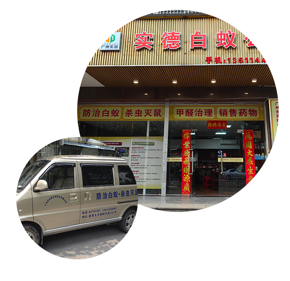 專家熱線：198-8633-8018