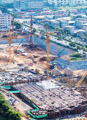 新建白蟻預防